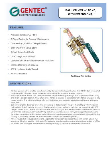 Ball Valves with Extensions