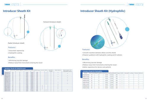 Demax Introducer Sheath Kit