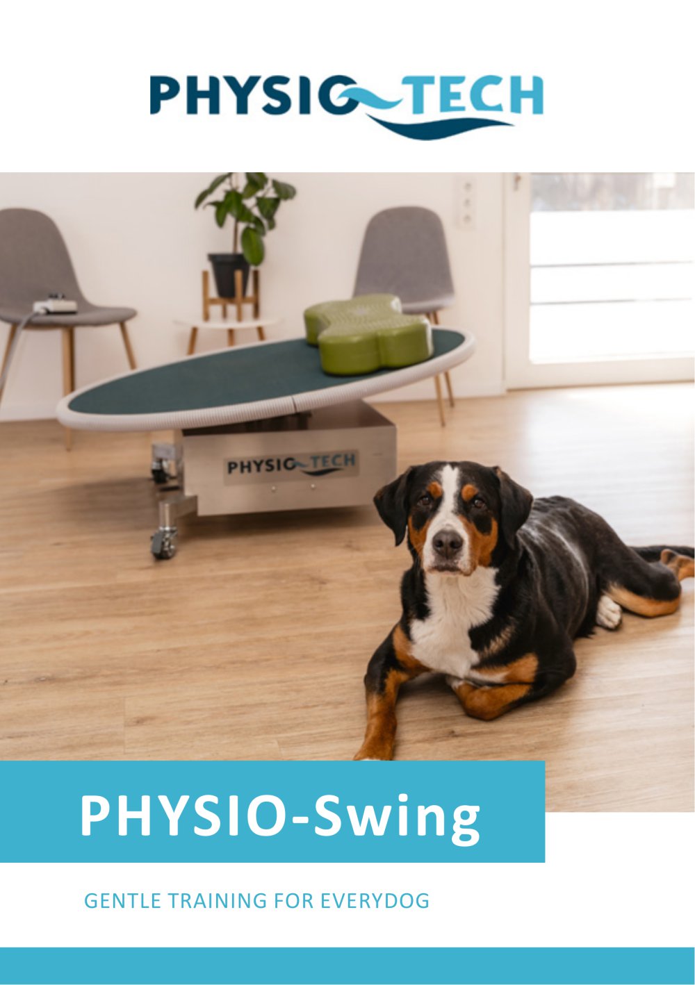 PHYSIO-Swing - PHYSIO-TECH