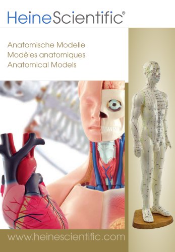 Anatomical Models