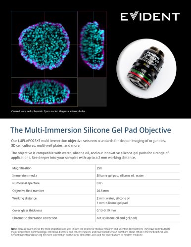 LUPLAPO25XS Silicone Gel Pad
