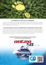 ANTEA-7