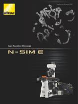 N-SIM E