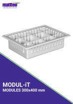 MODUL-iT