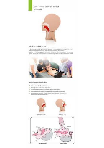 XFT-E0002 Airway Model