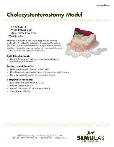 Cholecystenterostomy Model